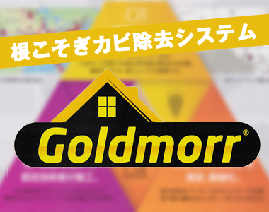 ゴールドモア